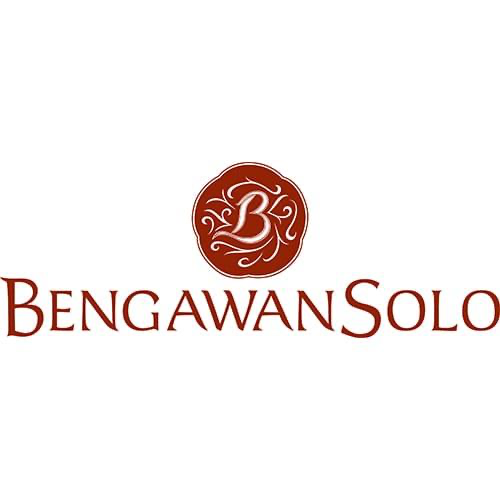 Bengawan Solo Logo